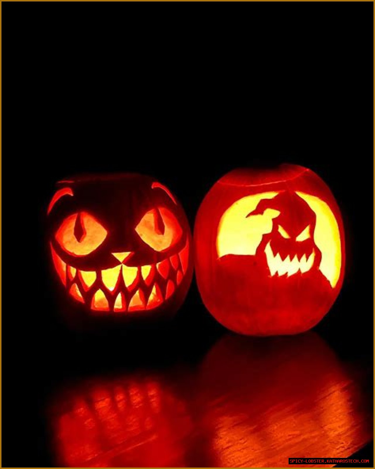 Unveiling The Enigmatic Love Story Of Cassandra Byorg And Johnny Rider