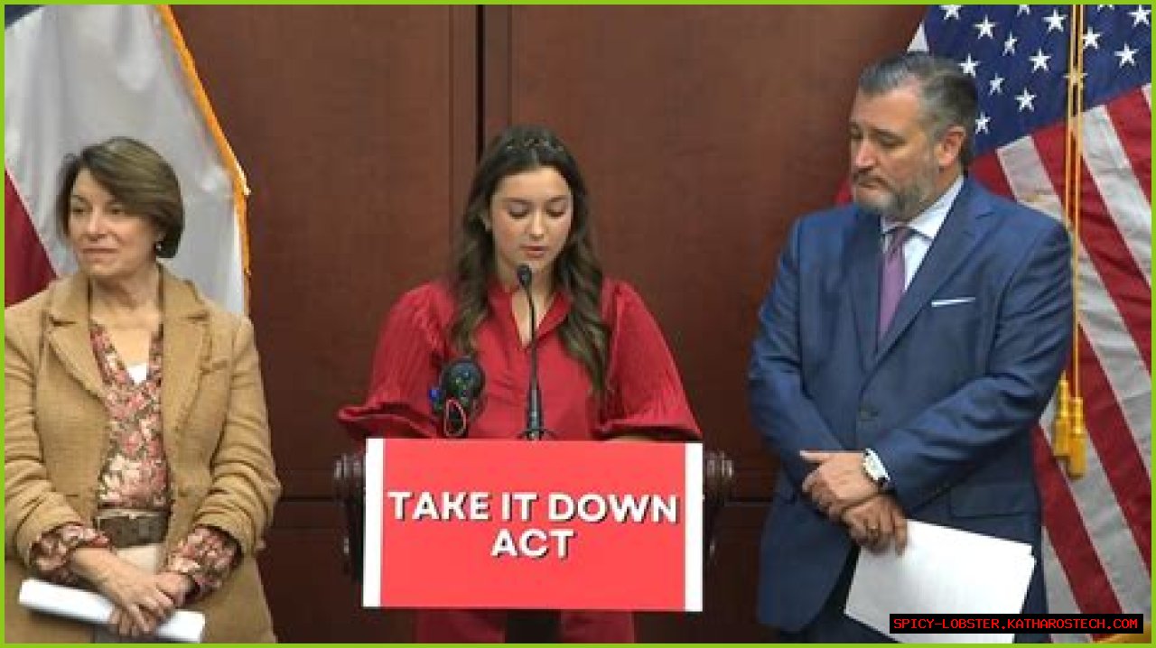 Unveiling The Truths Of The 'Olivia Rodrigo Deepfake' Phenomenon